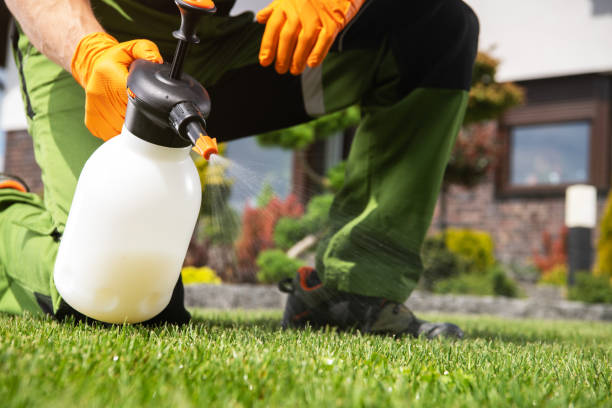Best Pest Control for Businesses  in Schnecksville, PA