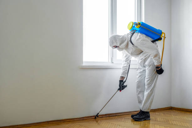 Reliable Schnecksville, PA Pest Control Solutions