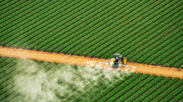 Best Best Pest Control Companies  in Schnecksville, PA
