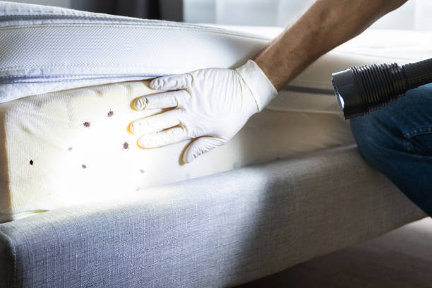 Best Local Pest Control Services  in Schnecksville, PA